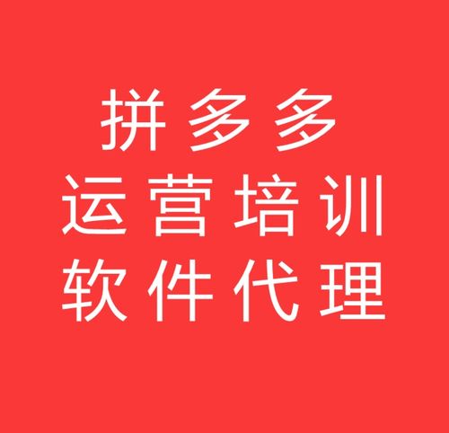 拼多多無(wú)貨源電商新機(jī)遇 山東大象拼上拼軟件加盟全攻略
